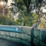 PRIVATE Blue Mountains Wilderness & Wildlife Late Start Tour - What Makes this Tour Stand Out?