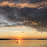 Private Boat and Dolphin Watching in Florida - Who Will Love This Tour?