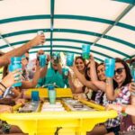 Private Boat for 20: Island Hopping, Dolphins, + Swimming - The Details of the Experience