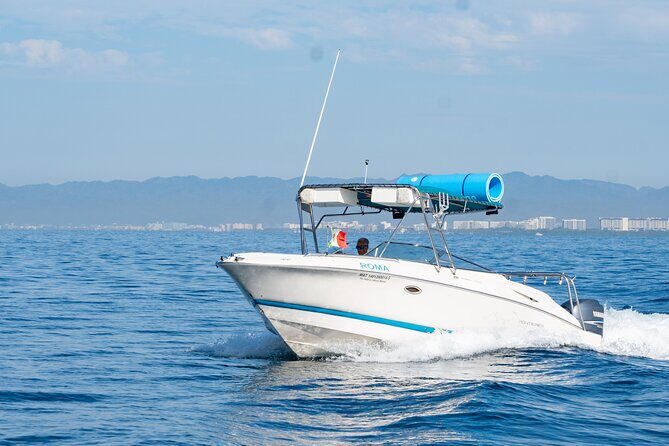 Private boat for 6 hours with snorkeling & beaches in Puerto Vallarta - What We Think About the Price