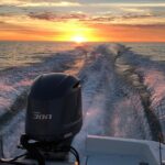 Private boat offering dolphin watching, island excursions and nature tours - Who Is This Tour Best For?