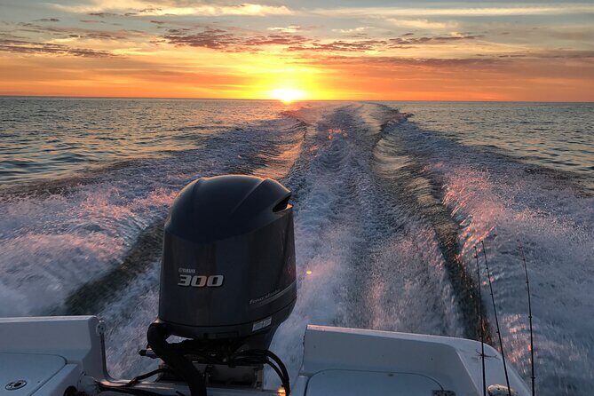 Private boat offering dolphin watching, island excursions and nature tours - Who Is This Tour Best For?