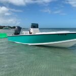 Private Boat Tour to Sand Bar Snorkel Dolphins and Sunset - The Realities and Considerations