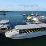 Private Boat Unlimited Party to Isla Mujeres + Transfer - Who Is This Tour Best For?