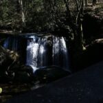 Private Border Corner Tour in Washington - What Travelers Can Expect