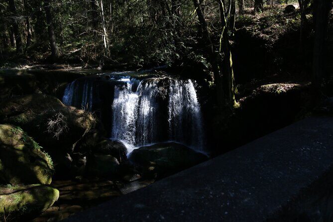 Private Border Corner Tour in Washington - What Travelers Can Expect