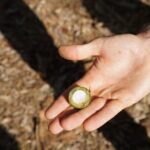 Private Botanical Garden Experience in the Heart of Maui - FAQ