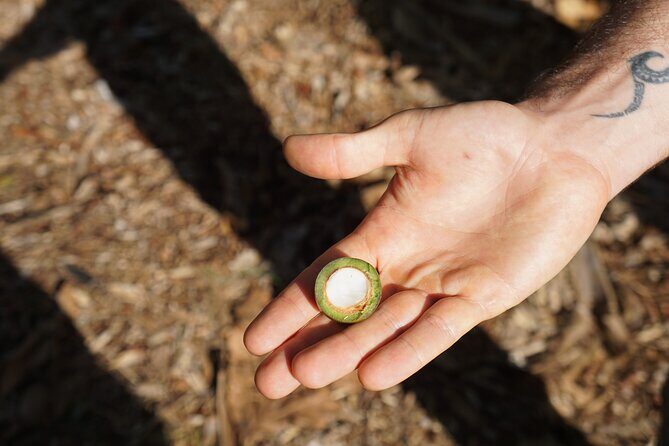 Private Botanical Garden Experience in the Heart of Maui - FAQ