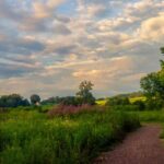 Private Brandywine and Longwood Gardens Driving Tour - The Value of the Tour