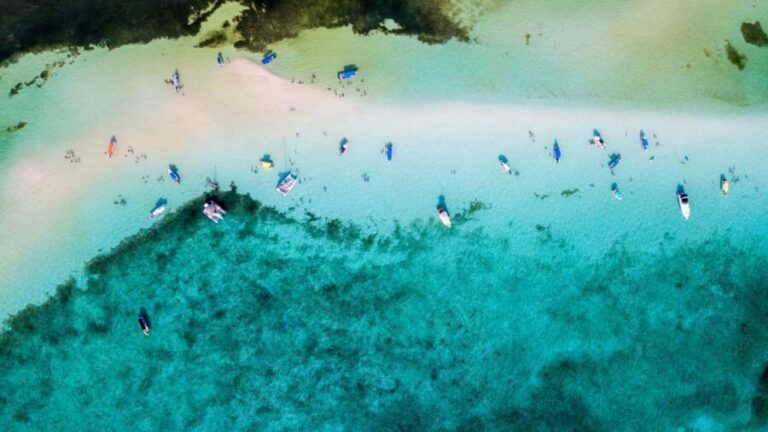 Private Catamaran in Cozumel: El Cielo and Turtle Sanctuary - Who Would Love This Tour?