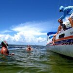 Private Catamaran: Snorkel, Swim and Dolphin Watching - What to Expect During the Day