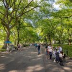 Private Central Park Adventure Tour - A Deep Dive into the Experience