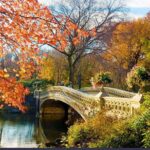 Private Central Park Walking Guided Tour - Why Choose the Private Central Park Walking Tour?