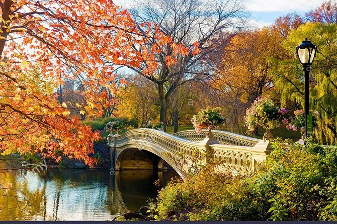 Private Central Park Walking Guided Tour - Why Choose the Private Central Park Walking Tour?