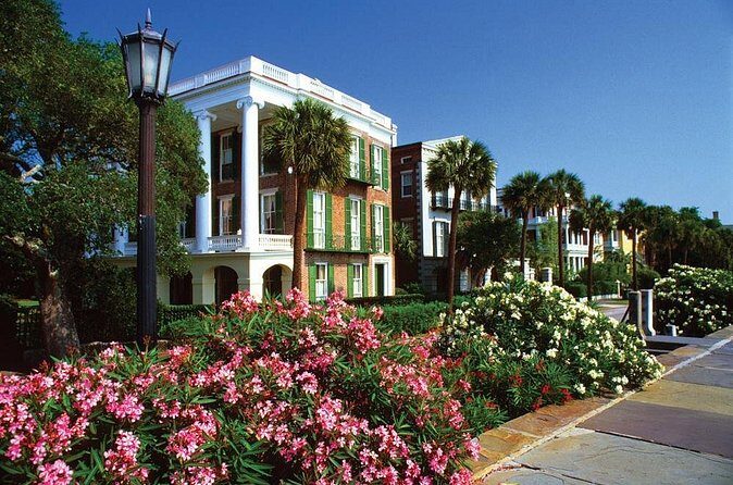 Private Charleston Walking History City Tour - What You Can Expect from the Itinerary