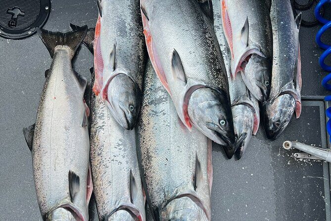 Private Charter Fishing - Full Port Time for Cruise Ship Guests - What You Can Expect from This Sitka Salmon Fishing Adventure