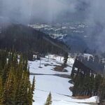 Private Charter Tour to Explore Vancouver and Surrounding Area - What Travelers Say