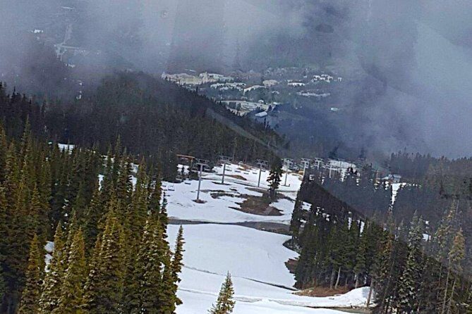 Private Charter Tour to Explore Vancouver and Surrounding Area - What Travelers Say