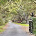 Private Chauffeur & Admission to Middleton & Magnolia Plantation + Box Lunch - Real Traveler Insights