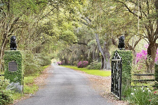 Private Chauffeur & Admission to Middleton & Magnolia Plantation + Box Lunch - Real Traveler Insights