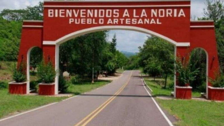 Private Colonial Tour Tequila and the Noria - The Value and Considerations