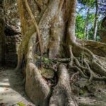 Private Community Tourism Experience in Calakmul - The Realities of the Experience