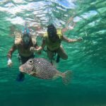 Private Cozumel Jeep and Jade Cavern Cenote Tour - The Real Deal from Travelers’ Perspectives