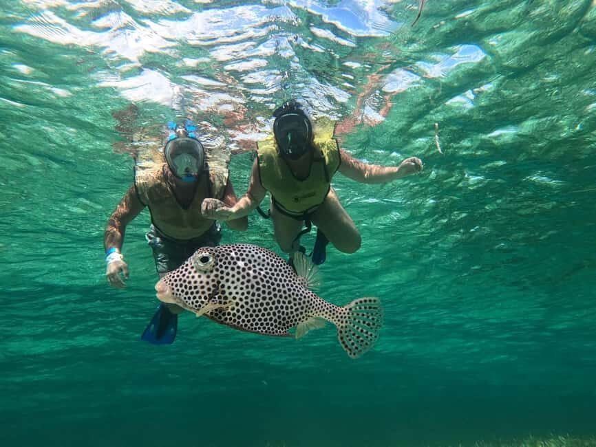 Private Cozumel Jeep and Jade Cavern Cenote Tour - The Real Deal from Travelers’ Perspectives