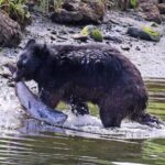 Private Custom Excursion with a Local for up to 14 people - The Value of the Tour