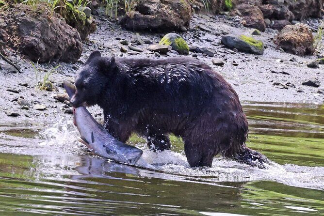 Private Custom Excursion with a Local for up to 14 people - The Value of the Tour