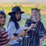 Private Custom Transport in Valle for 5 or 6 People Wine Food - Who Is This Tour Best Suited For?