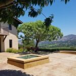 Private Day Tour: Napa Valley Wine Tasting from San Francisco - 6hrs - Visiting Napa and Sonoma Wineries