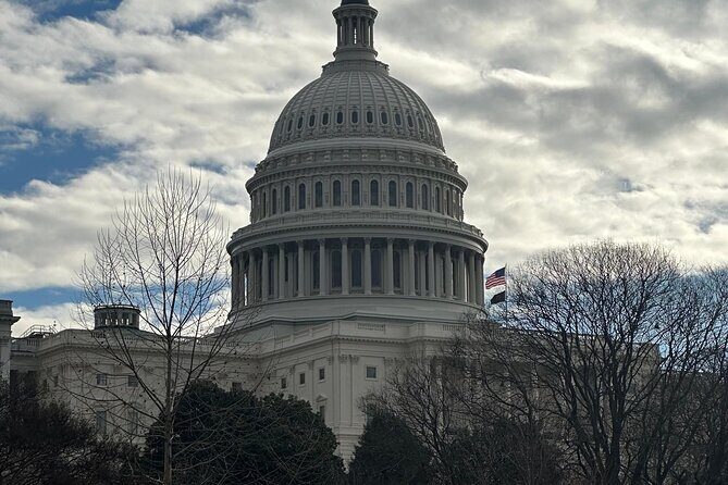 Private DC Tours in Luxury SUV - What the Experience Feels Like