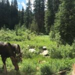 Private Denver International Airport Transfer to Vail or Beaver Creek - Who Should Consider This Transfer?