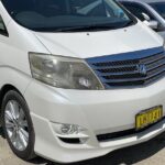 Private Departure Transfer To Nadi Airport From Your Hotel - What to Expect During the Transfer