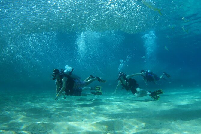 Private Dive Boat for Certified Divers - Cabo San Lucas - What to Expect During the Tour