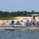 Private Dolphin and Nature Tour of Hilton Head - Who Should Consider This Tour?