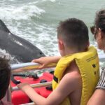 Private Dolphin, Shelling and Birding Tour - Final Thoughts