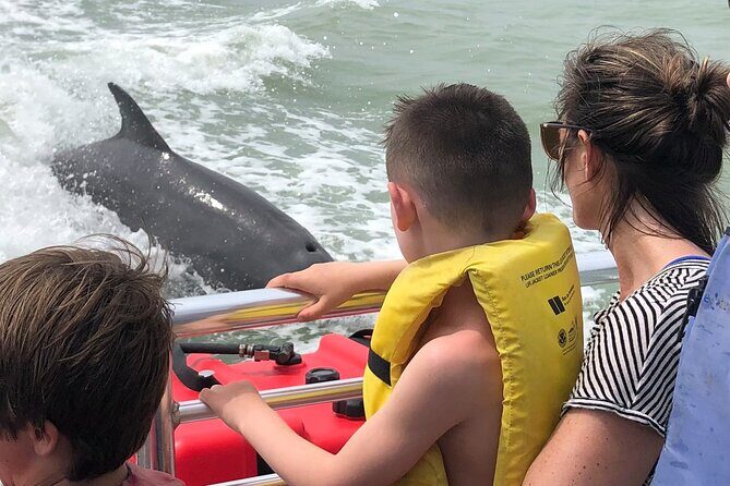 Private Dolphin, Shelling and Birding Tour - Final Thoughts