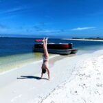 Private Dolphin Tour with Secluded Beach/Snorkel Stop - Is It Worth the Price?