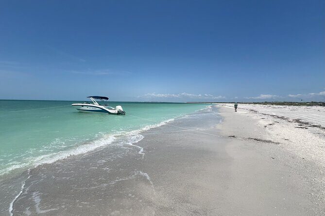 Private Dolphin Watching Beach Day Getaway - Practical Considerations