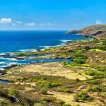 Private Driving Tour of Oahu Scenic South Shore - FAQ