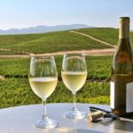 Private Enchanted Napa and Sonoma Wine Tour in SUV from SFO - Who Should Consider This Tour?