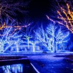 Private Enchanting Nashville Christmas Lights Tour - What the Experience Means for Travelers