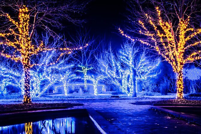 Private Enchanting Nashville Christmas Lights Tour - What the Experience Means for Travelers