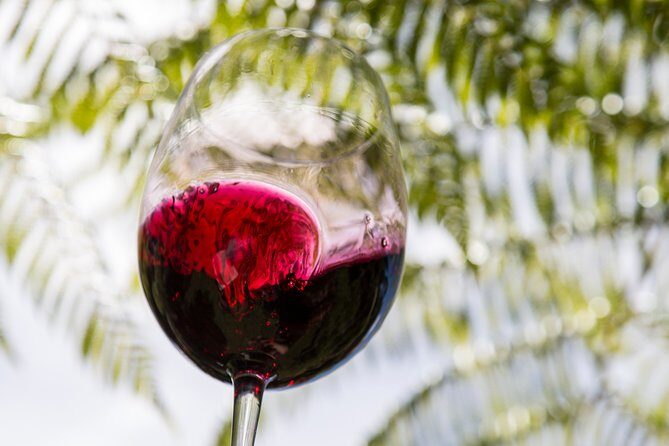 Private Essence of Waiheke Wine Tour - Final Thoughts: Is It Worth It?