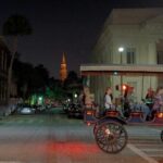 Private Evening Carriage Tour Charleston - Palmetto Carriage - Pricing and Value