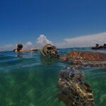 Private Experience in Akumal with Snorkeling - Final thoughts