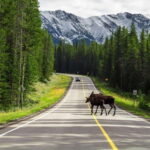 Private: Famous MOVIES + MOUNTAINS Photo Safari Drive - 4hrs - Itinerary Breakdown: What to Expect