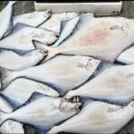 Private Fishing Adventure in Icy Strait Hoonah Alaska - The Itinerary in Detail